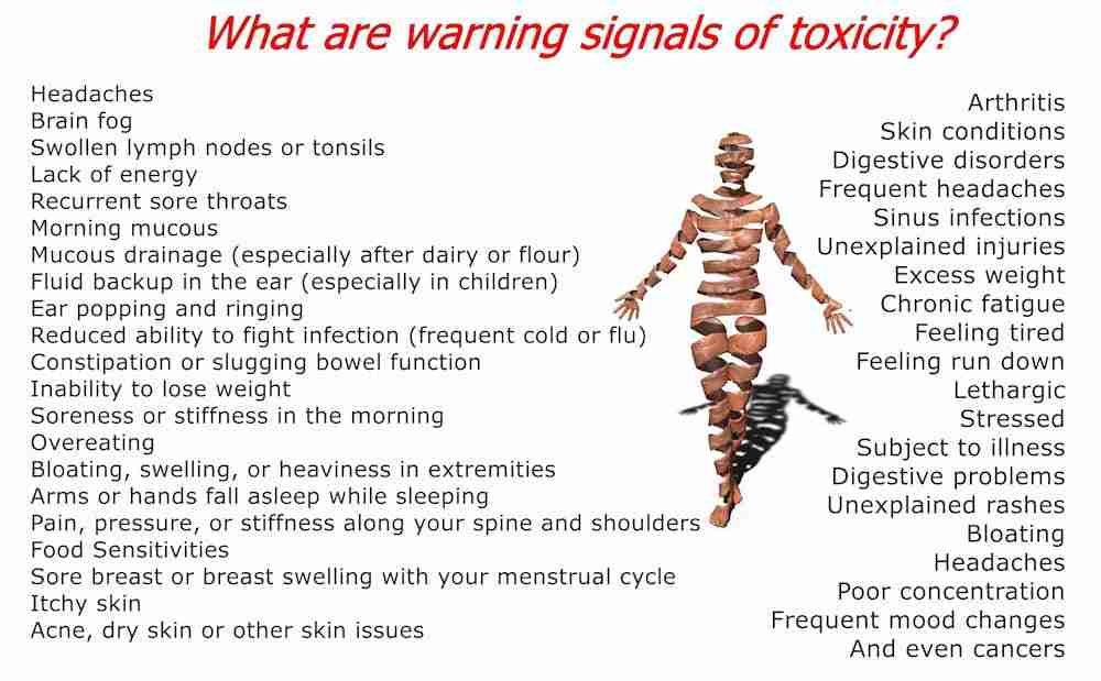 Warning Signals of Toxicity