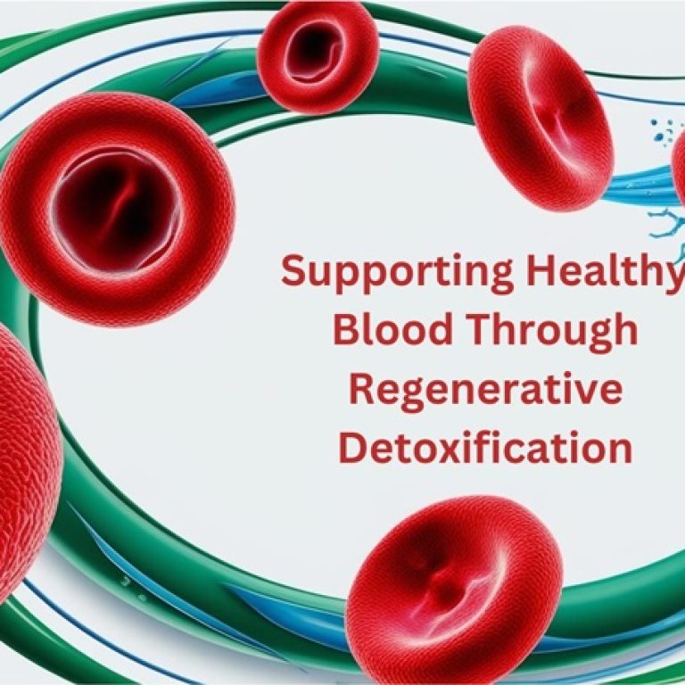 Supporting Healthy Blood Through Regenerative Detoxification3