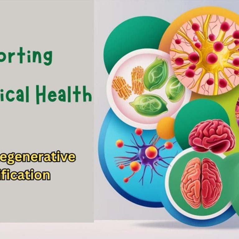 Supporting Neurological Health2